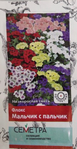Флокс Мальчик с пальчик купить