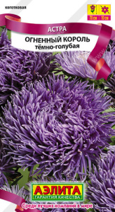 Астра Огненный король темно-голубая купить