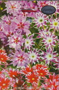 Флокс Звездочка/1шт купить