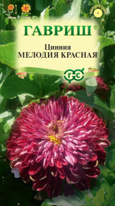 Цинния Мелодия красная  купить