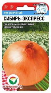 Лук (репчатый) Сибирь-Экспресс купить