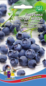 Голубика Чудо ягода купить