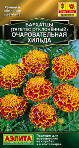 Бархатцы Очаровательная Хильда отклоненные, смесь купить