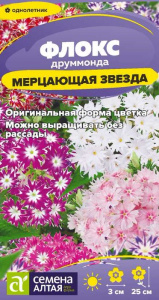 Флокс Мерцающая Звезда друммонда