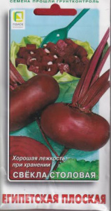 Свекла Египетская плоская купить