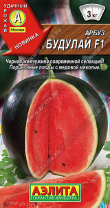 Арбуз Будулай купить