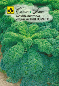 Капуста (листовая) кудрявая Тинторето  купить