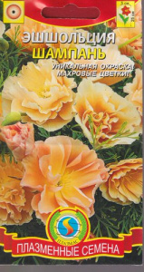 Эшшольция Шампань  купить