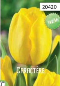 Тюльпан Карактер /10шт купить