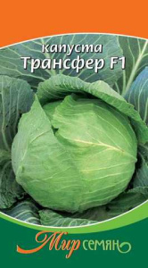 Капуста Трансфер 0.25г купить