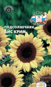 Подсолнечник Айс крим (увечный, кремовый)  купить