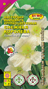 Настурция Снежная королева вьющаяся  купить