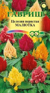 Целозия перистая, Малютка смесь купить