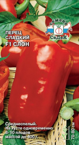 Перец Слон Красный купить