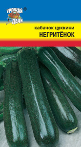Кабачок Негритенок (цуккини) купить