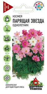 Космея Парящая звезда, смесь  купить