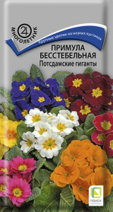 Примула Потсдамские гиганты бесстебельная  купить