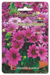 Остеоспермум Акила Парпл 5 шт купить