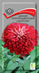 Цинния Супер Йога Вайн георгиноцветковая купить
