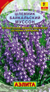 Шлемник байкальский Муссон  купить