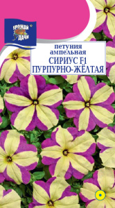 Петуния Сириус F1 Пурпурно-жёлтая ампельная  купить