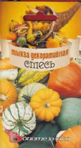 Тыква  Декоративная смесь купить