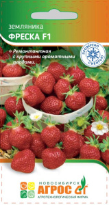 Земляника Фреска ремонтантн.  купить