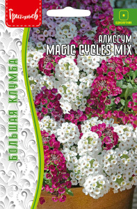 Алиссум Магический круг Микс (Magic Cycles Mix) купить