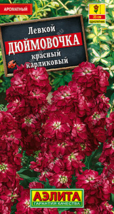 Левкой Дюймовочка красный карликовый  купить