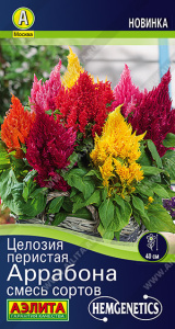 Целозия перистая Аррабона, смесь  купить