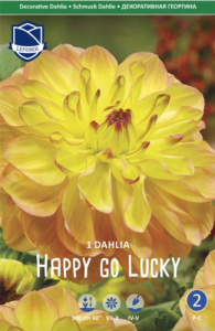 Георгина декоративная Happy go Lucky /1шт  купить