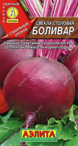 Свекла Боливар  купить