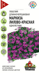 Лобелия Маркиза лилово-красная, ампельная * Уд. с. купить