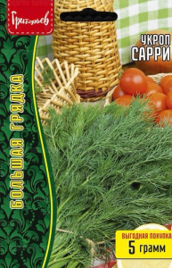 Укроп Сарри  купить