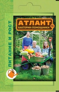 Атлант Питание и рост 10г купить