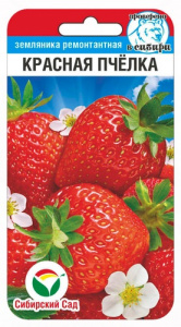 Земляника Красная пчелка купить