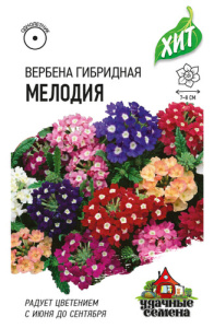 Вербена Мелодия* гибридная смесь  купить