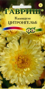 Календула Цитронгельб купить