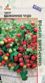 Томат Балконное чудо А 0,08г купить