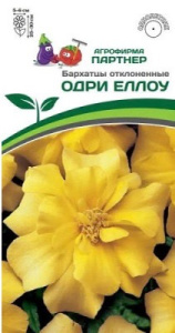 Бархатцы Одри Еллоу отклоненные купить