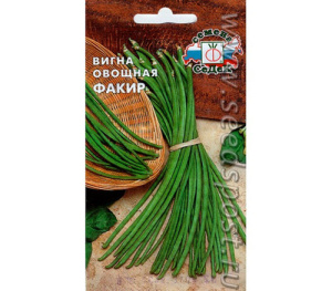 Вигна Факир купить