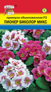 Примула Пионер F2 Биколор микс  купить