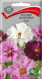 Космея Психе махровая  купить
