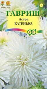 Астра Катенька  (воронежская белая ) купить