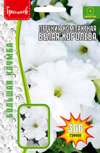 Петуния Белая Королева компактная купить