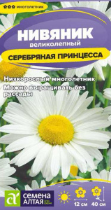 Нивяник Серебряная принцесса купить