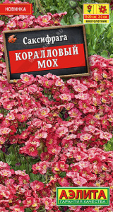 Саксифрага Коралловый мох  купить