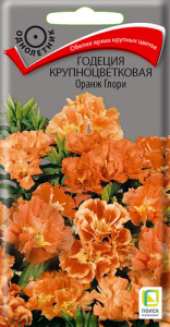 Годеция Оранж Глори крупноцв. купить