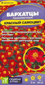 Бархатцы Красный Самоцвет тонколистн купить