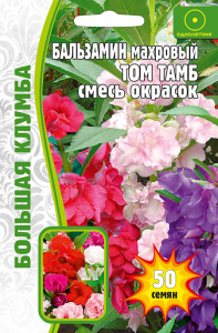 Бальзамин Том Самб Смесь купить